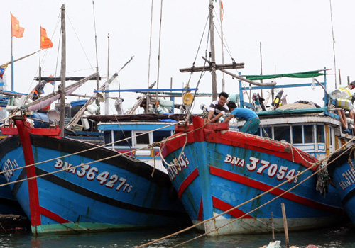 Đề tài: Một số vấn đề về đời sống xã hội và văn hóa của cộng đồng ngư dân ven biển và hải đảo từ Đà Nẵng đến Khánh Hòa: Từ góc nhìn Dân tộc học 
